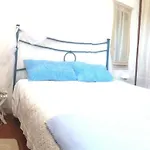 Milli Villa *