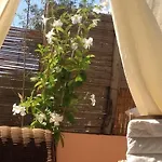 Villa Milli